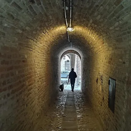 Il Loft Di Pieve شقة *